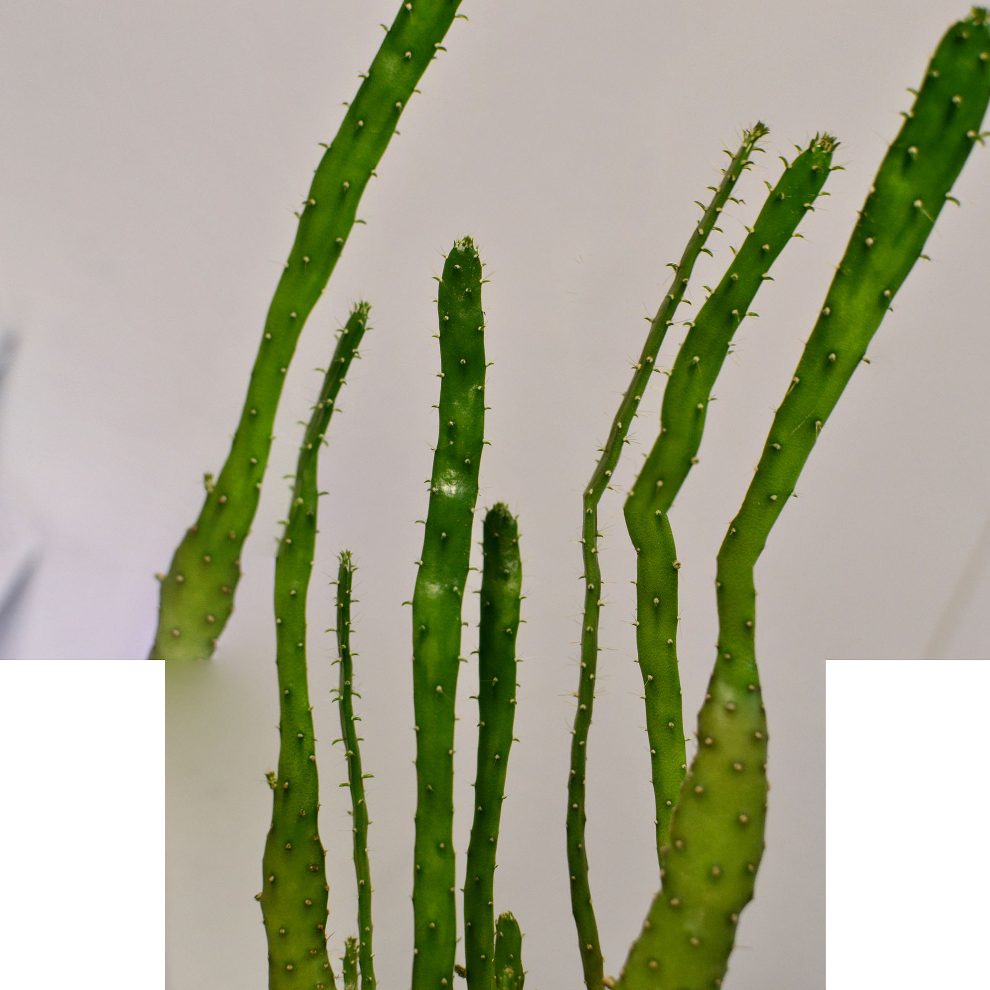 Untitled_Panorama 157